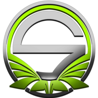 Team Singularity