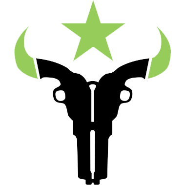 Houston Outlaws