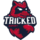 Team Image