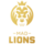 Team Image